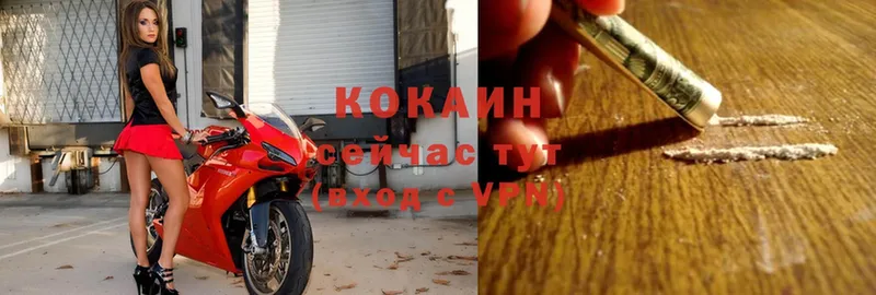 COCAIN 98%  Каргат 